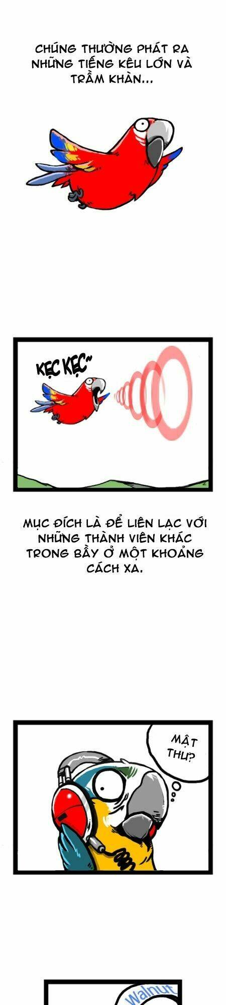 earth, human, and animal chapter 11 11