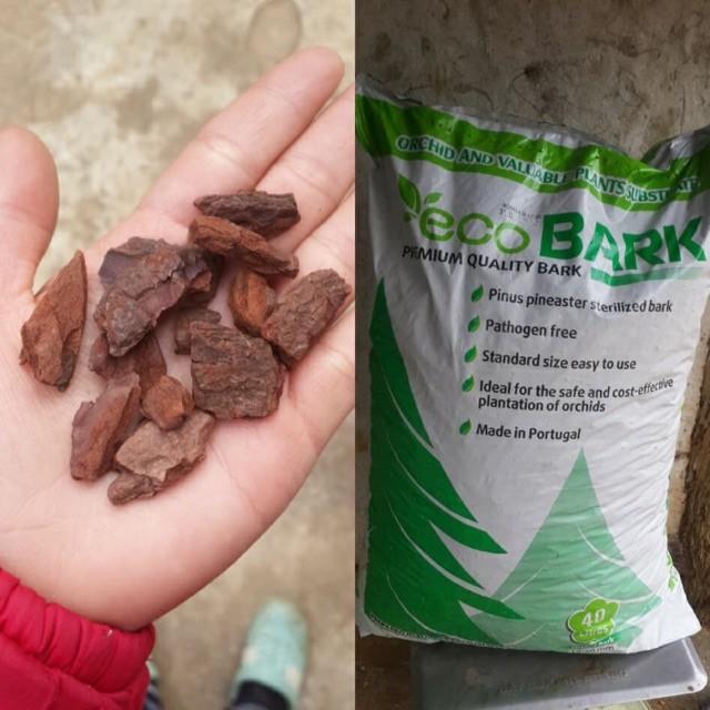 1Kg VỎ THÔNG CAO CẤP ECO BARK