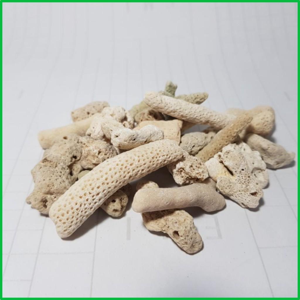 San Hô Vụn | Vật liệu lọc san hô vụn cao cấp khối lượng 100Gr