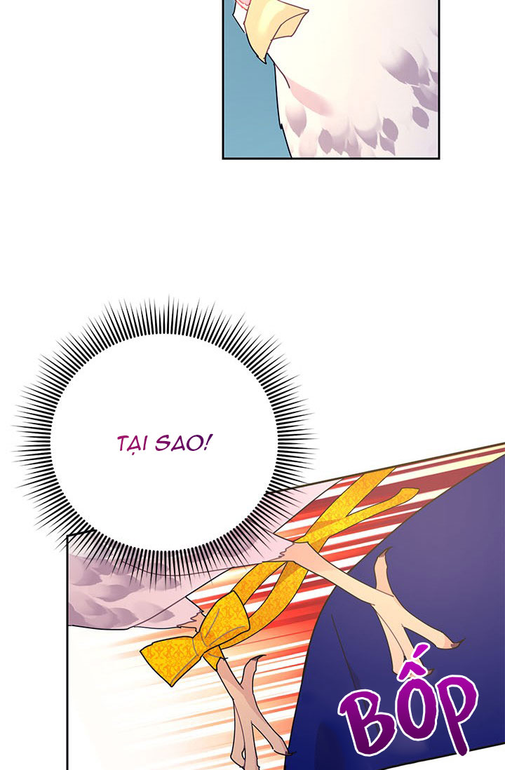 công chúa của loài chim chapter 36.2 32