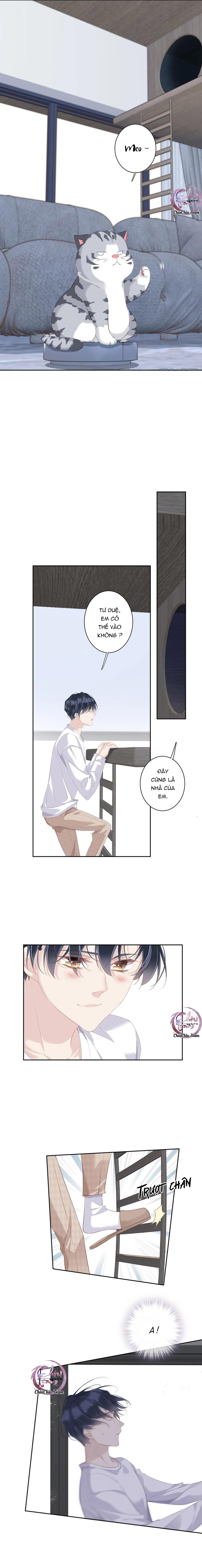 cuộc mai mối vượt giống loài chapter 32 7