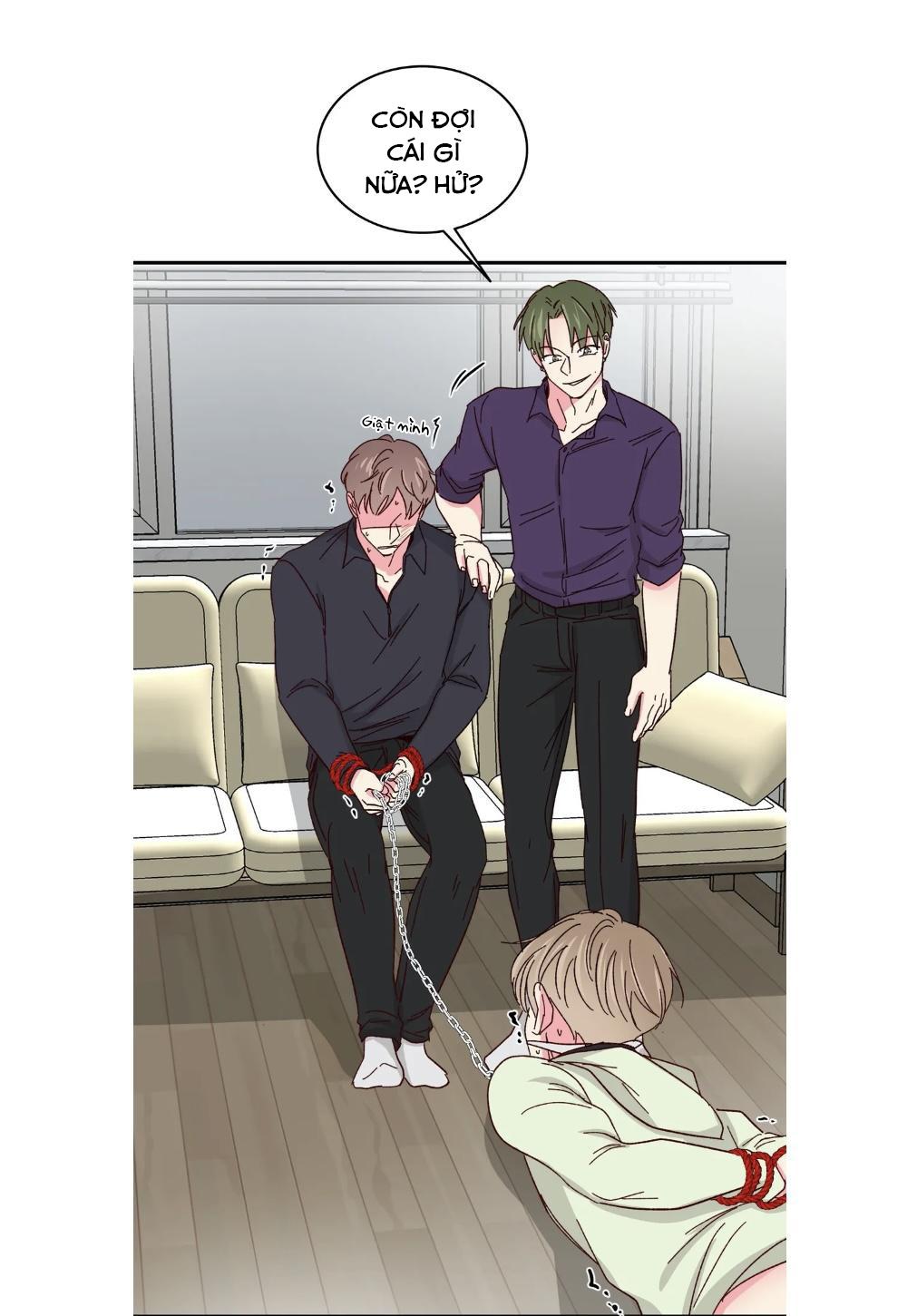 món tráng miệng của sếp tổng chapter 57 22