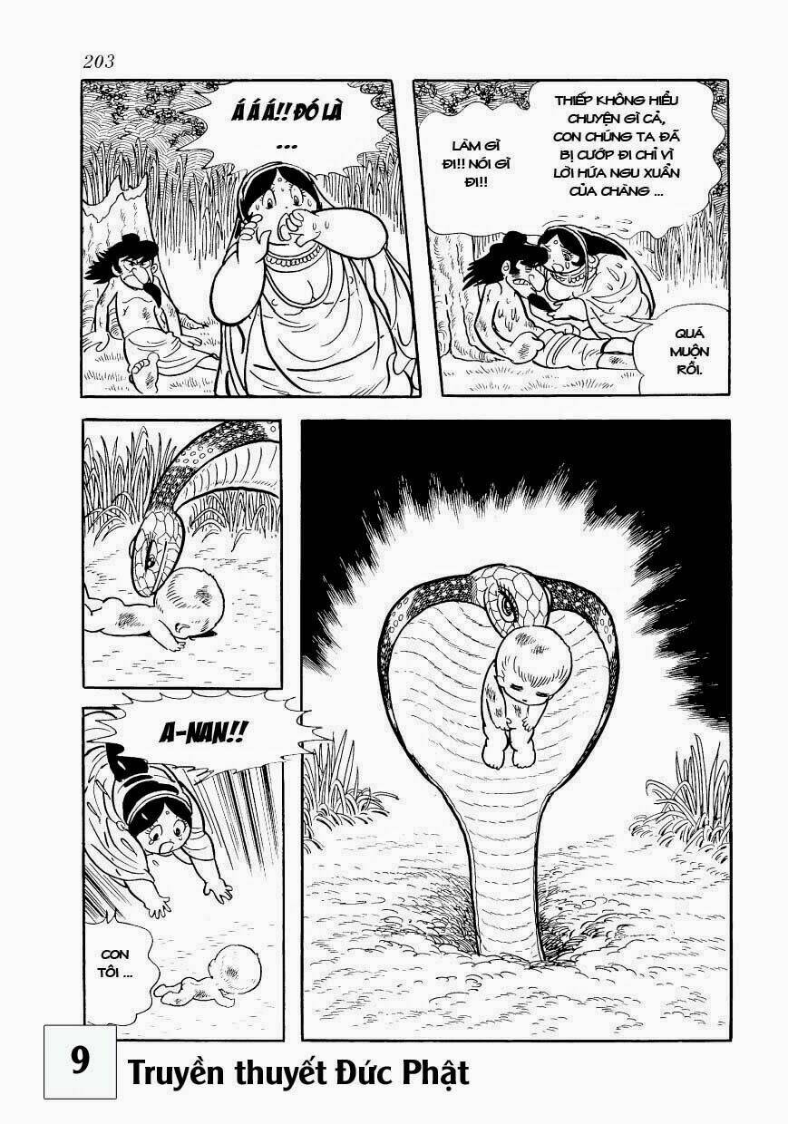 buddha - truyền thuyết đức phật chapter 43 13