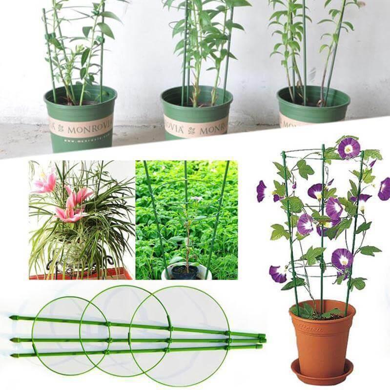 Giá đỡ hoa hồng, cây leo, cà chua KT cao 75cm, DK vòng 27-22 cm