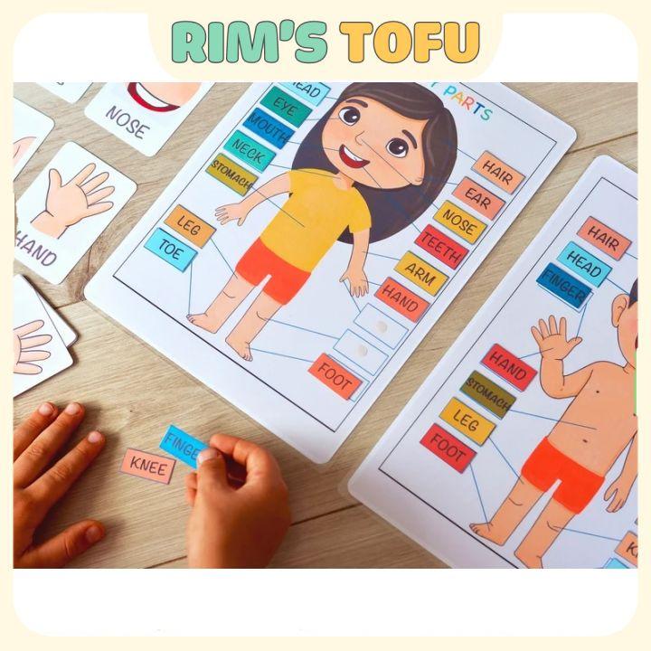 Bộ học liệu bóc dán montessori Khám phá giải phẫu cơ thể Anatomy Busy Book