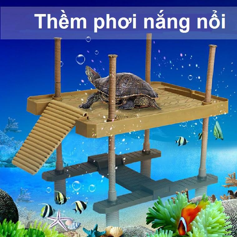 Thềm phơi nắng cỡ lớn cho quần thể rùa