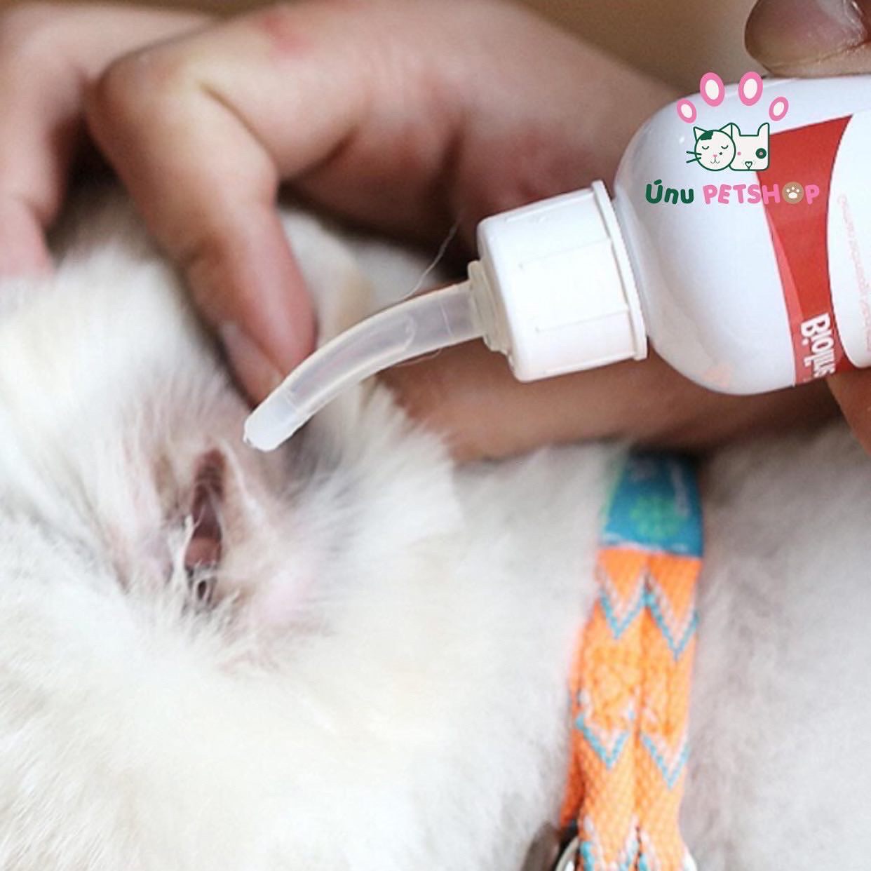 Chai nước rửa vệ sinh tai cho Chó Mèo Bioline 50ml , Dung dịch vệ sinh tai thú cưng – Tadida Pet