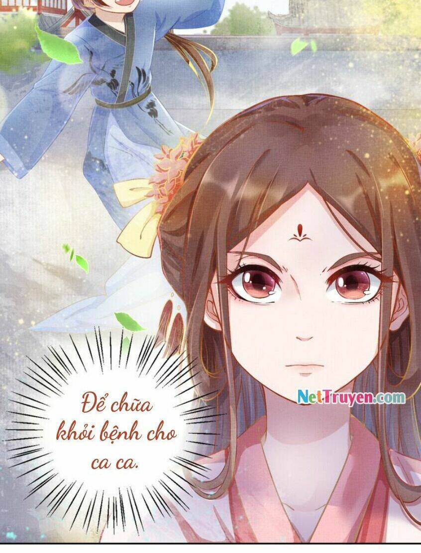 thịnh sủng y phi chi dao quan truyện chapter 5.5 9