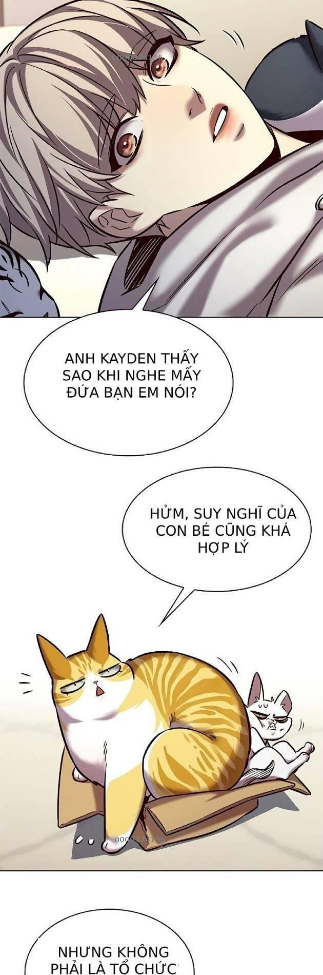 biến thân thành mèo chapter 239 31