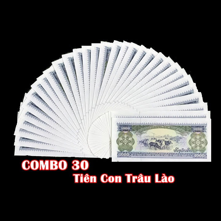 Combo 30 tờ lưu niệm hình con Trâu của Lào, dùng để sưu tầm, lưu niệm, làm tiền lì xì độc lạ, may mắn, ý nghĩa - TMT Collection - SP005103