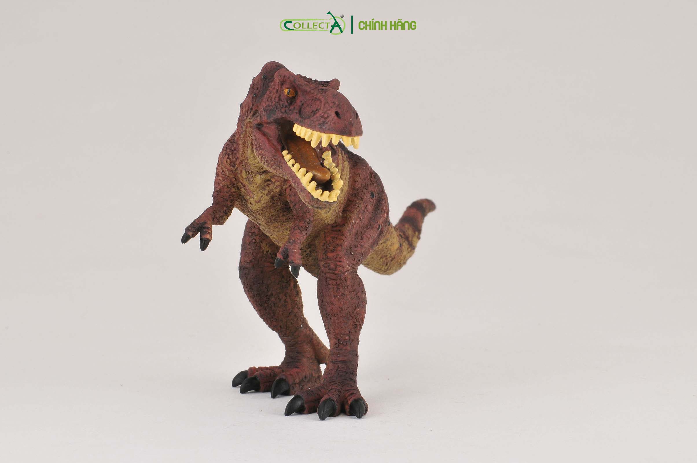 Mô hình thu nhỏ: Khủng Long Tyrannosaurus Rex  - Tyrannosaurus Rex , hiệu: CollectA, mã HS 9654080[88036] -  Chất liệu an toàn cho trẻ - Hàng chính hãng