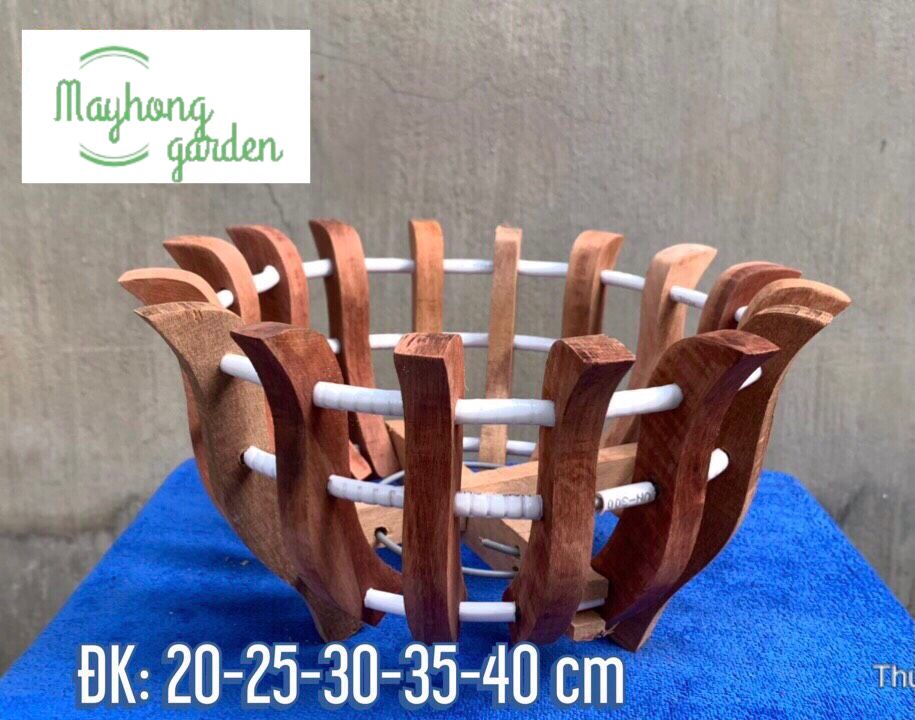 Combo 3 chậu gỗ căm xe trồng lan phi 20cm thoáng khí giúp lan phát triển tốt