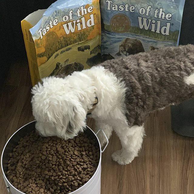 Thức Ăn Cho Chó Poodle Taste Of The Wild Bao 2kg - Pacific Stream Cannie Cá Hồi Xông Khói, Rau Củ Quả