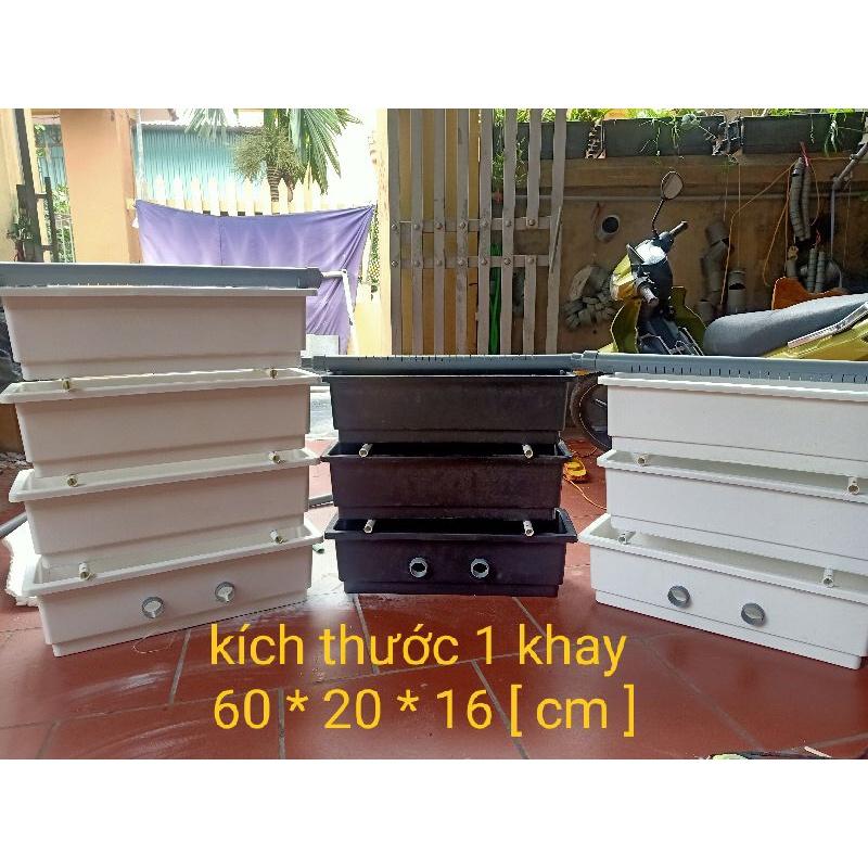Baki lọc hồ koi kích thước 1 khay 60 x 20 x 16cm