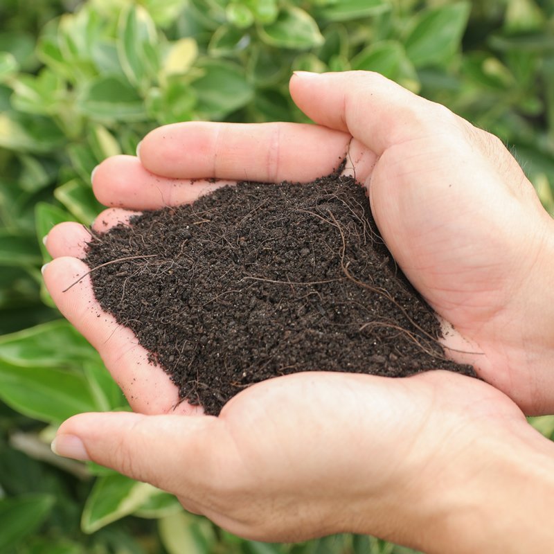 Đất Sạch Hữu Cơ Trồng Hoa Kiểng Sfarm Cao Cấp - Túi 2.5kg - Chuyên Dùng Cho Hoa Kiễng