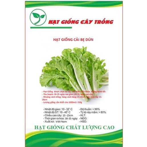 Hạt Giống Cải Bẹ Dún CT338 - Gói 10gram