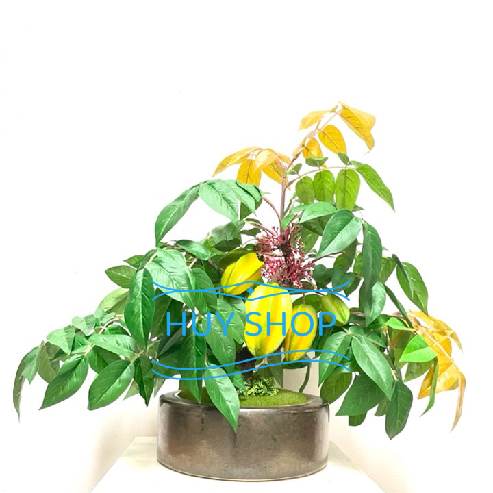 CHẬU CÂY TRÁI KHẾ NHÂN TẠO SỐ 4 TRANG TRÍ NHÀ CỬA