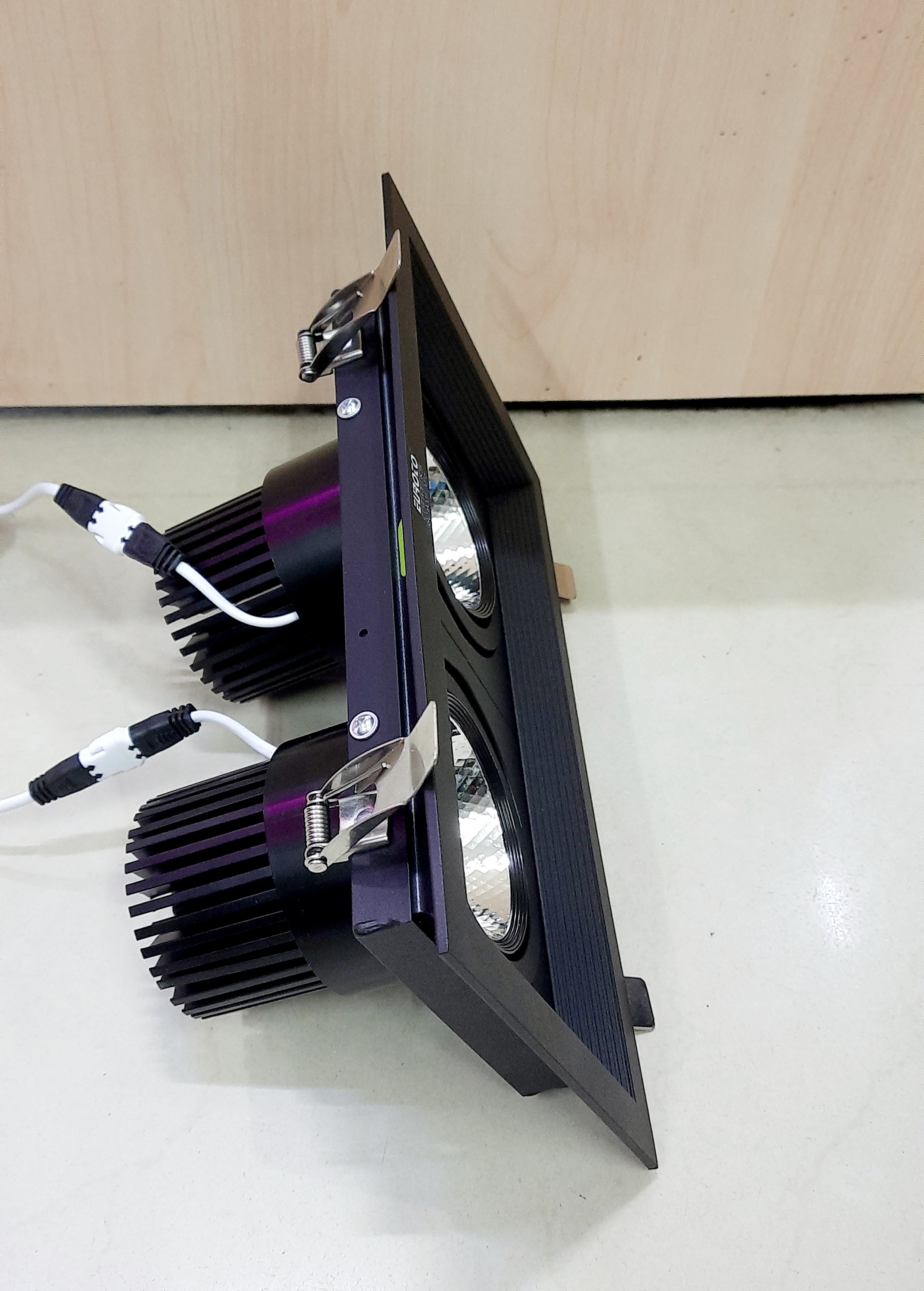 ĐÈN DOWNLIGHT 2 x 12W