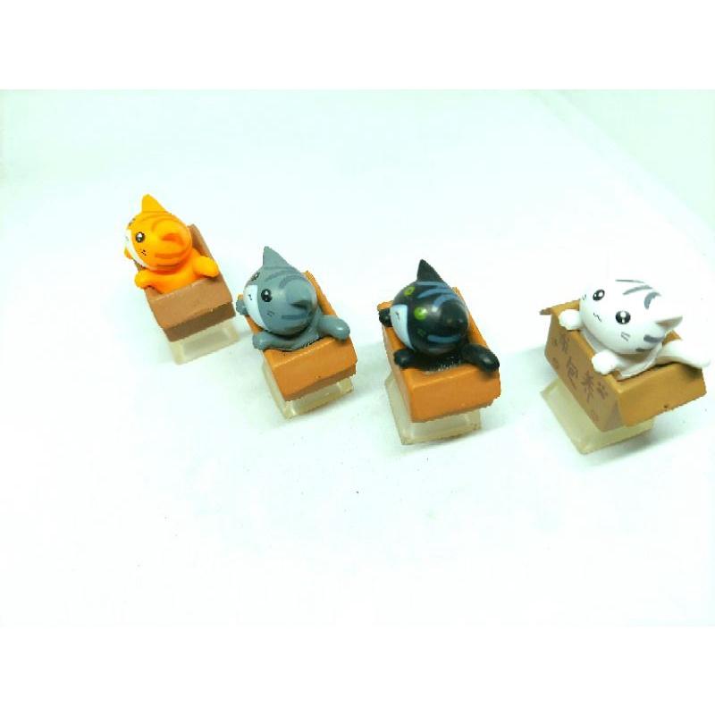 Keycap bé mèo trong hộp( cat in box) chân trong suốt