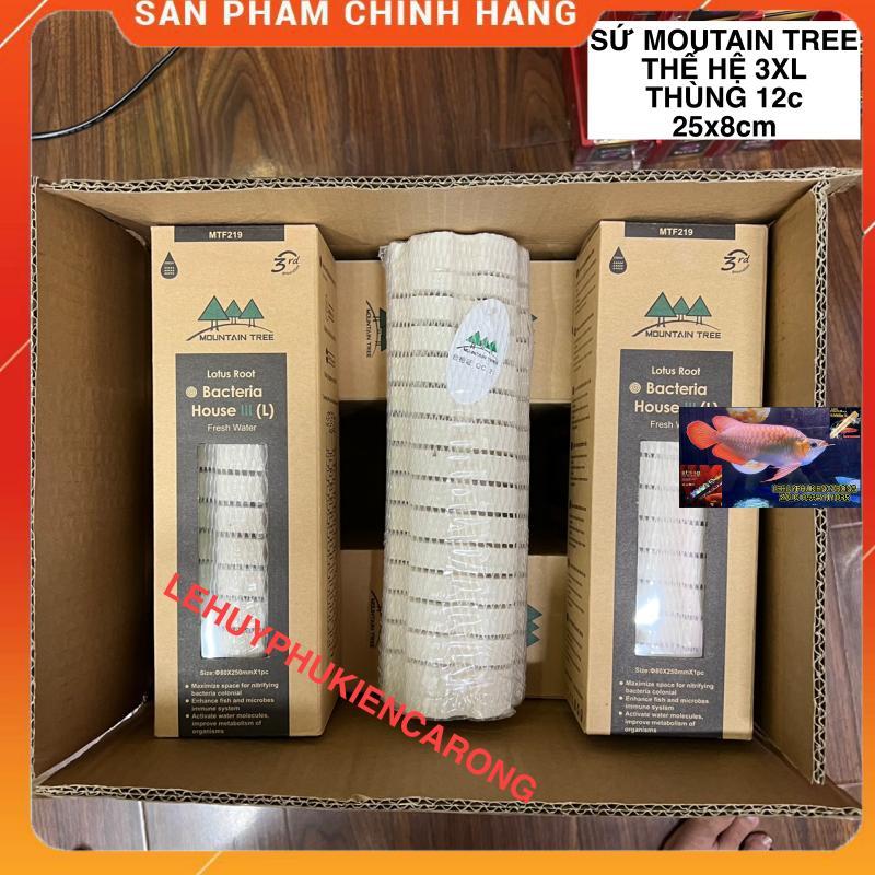 Sứ Củ Sen Thế Hệ 3 Mountain Tree - Size 25cm x 8cm