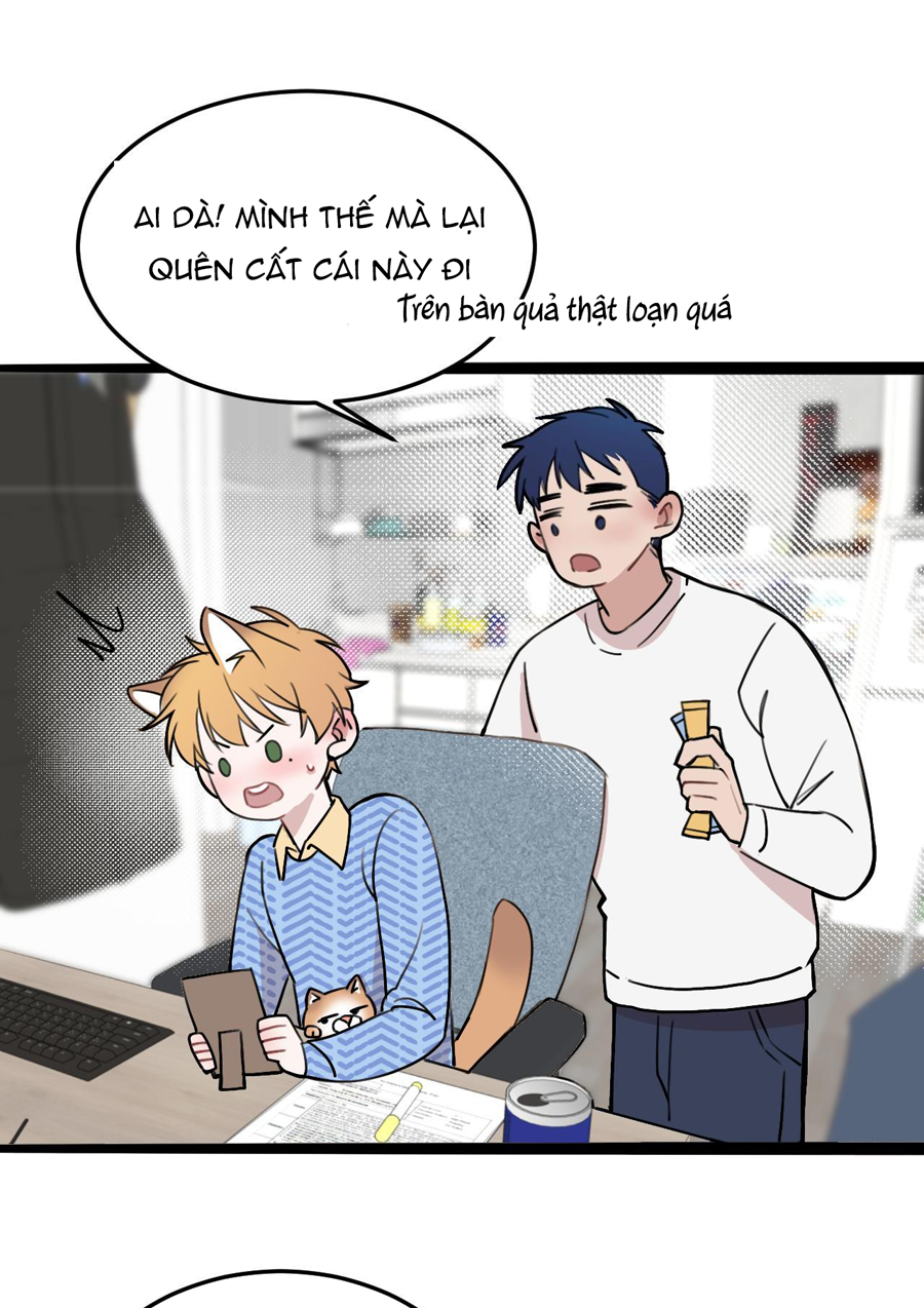 rốt cuộc bé mèo đang nghĩ gì ? chapter 11 42