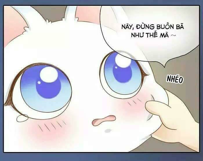 tiểu hồ ly vs tiểu hóa thượng chapter 14 20