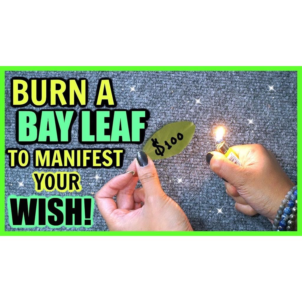 Lá Nguyệt Quế - Bay leaf may mắn theo lựa chọn