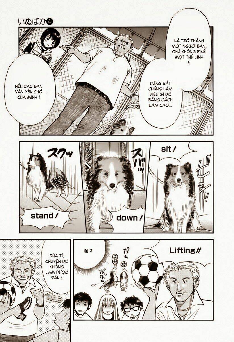 cô nàng yêu chó chapter 35 9