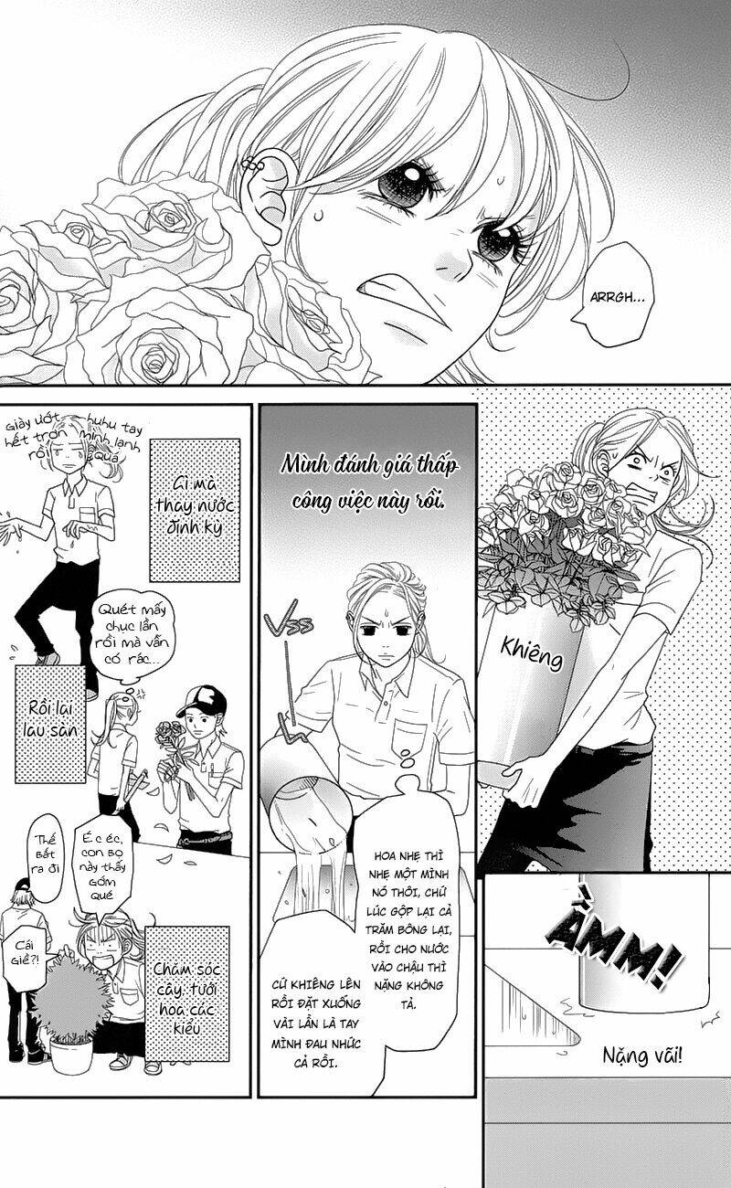 đóa hoa năm ấy chapter 1 13
