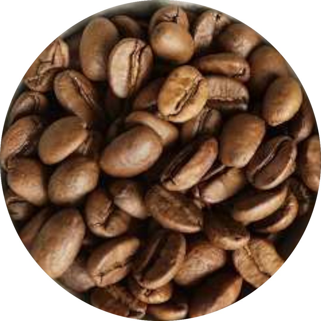 Cà phê Hạt Trung Nguyên Mộc Success 8 - Arabica (Lon 340 gram)