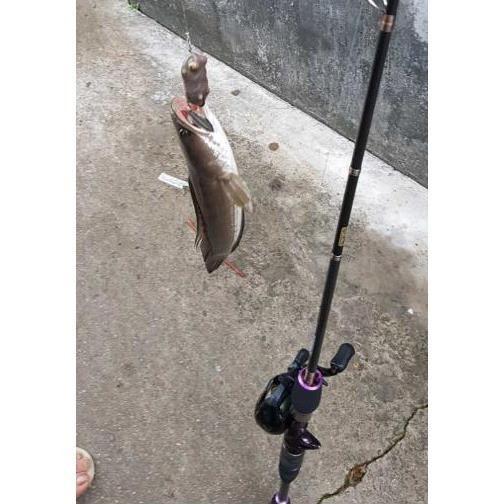 Mồi Nhái Hơi Frogtoon V4 THẾ GIỚI ĐỒ CÂU LURE 68 Mồi Nhái Hơi Thái Lan Nhập Khẩu Chính Hãng