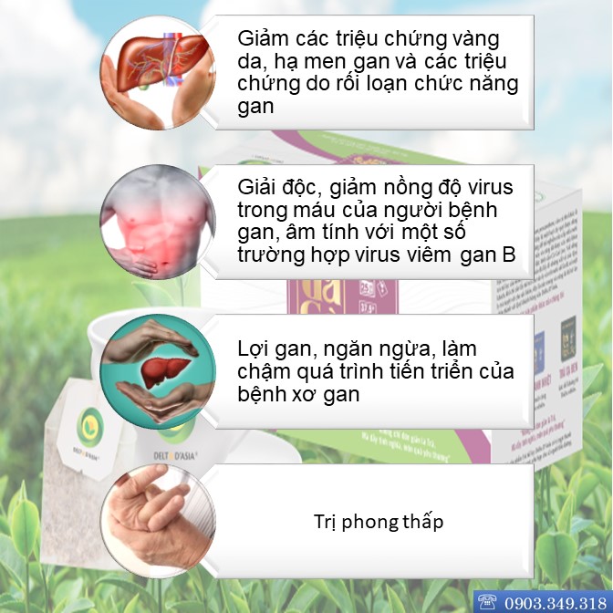 TRÀ CÀ GAI LEO Hộp - Delta D'Asia Giải độc tố, Chống viêm gan và ngăn ngừa Oxy hoá