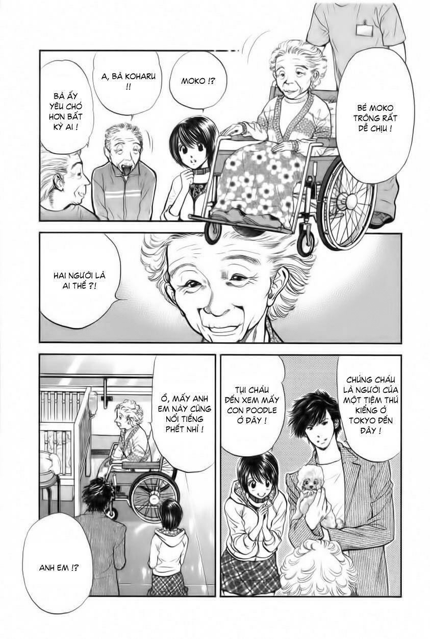 cô nàng yêu chó chapter 30 10