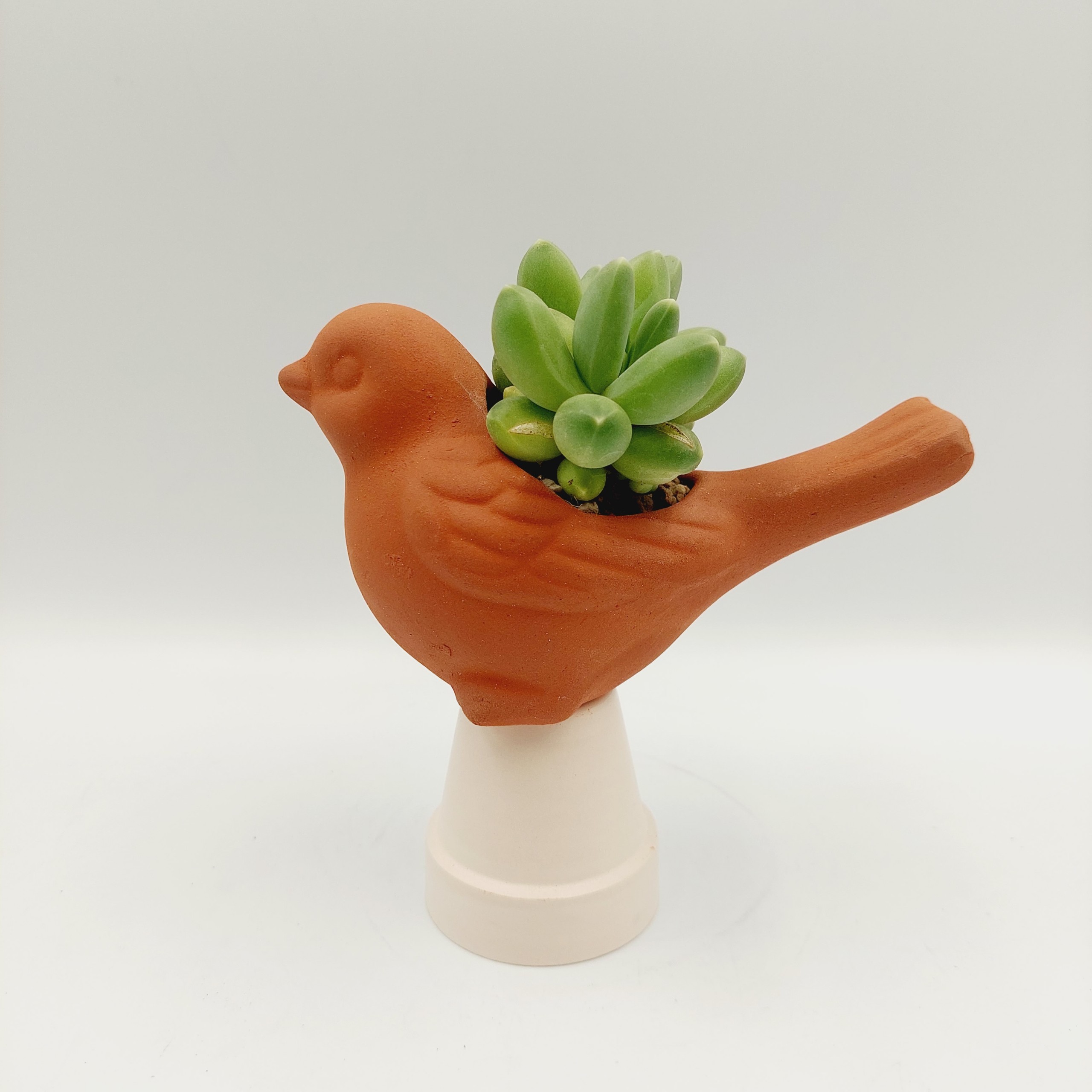 Chậu đất nung, chậu sen đá - Con chim non 58, miệng chậu 5cm, chiều cao 8cm