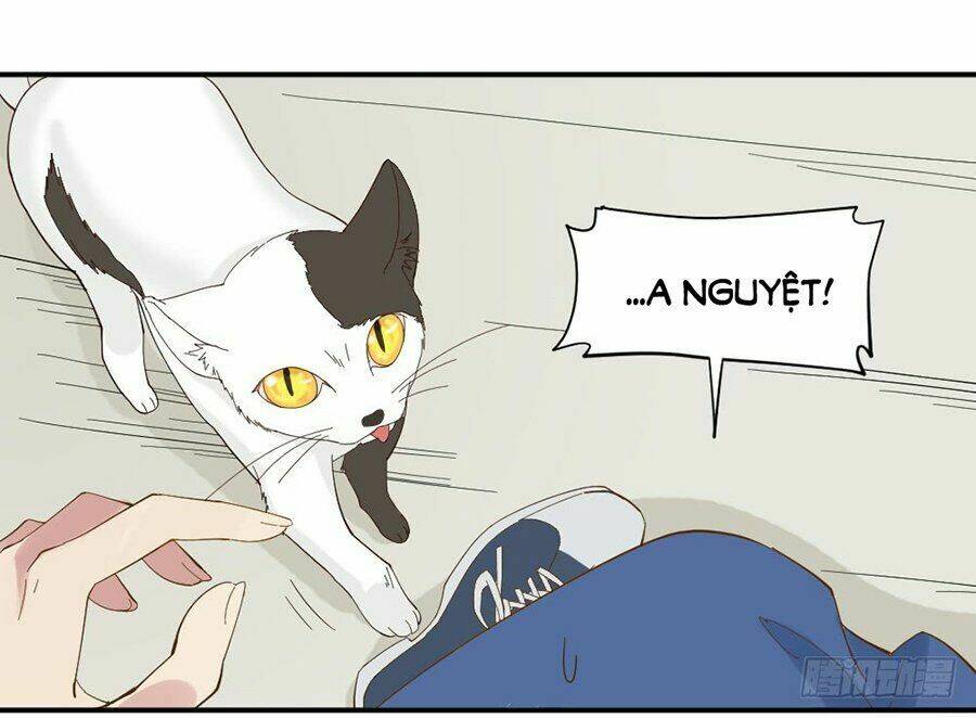 nguyệt lão không cho phép tôi yêu đương chapter 1.2 4