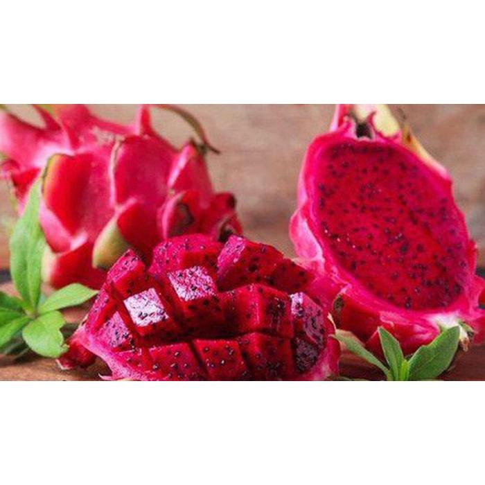 CÂY GIỐNG THĂNG LONG RUỘT ĐỎ SIÊU SỚM. .