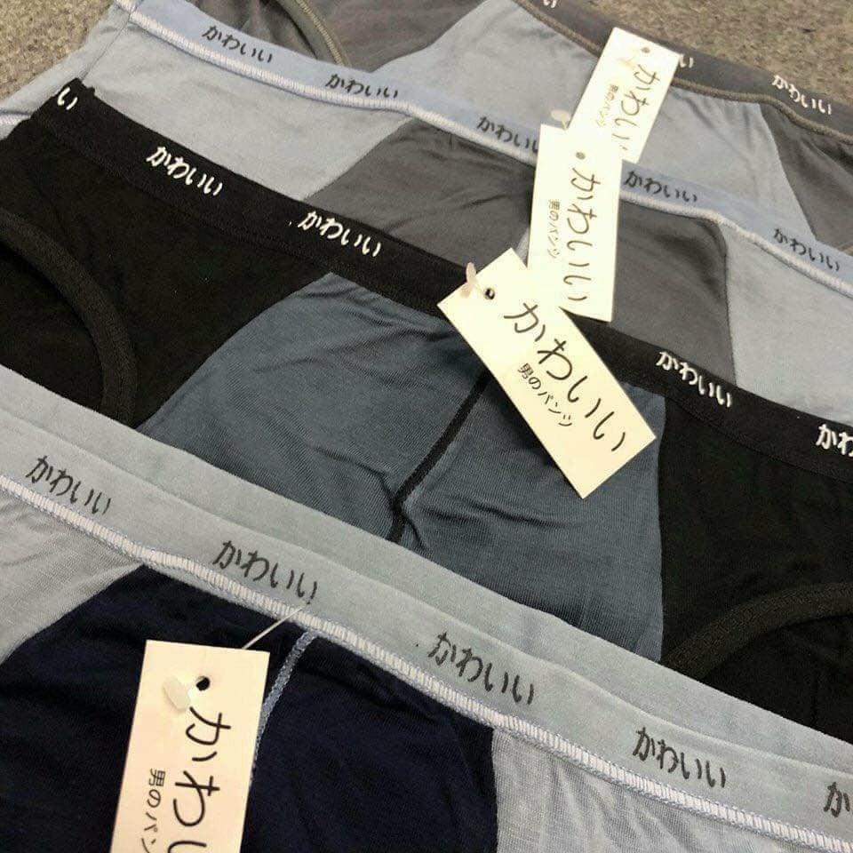 Quần lót nam tam giác cotton - Quần sịp túi zip bạc