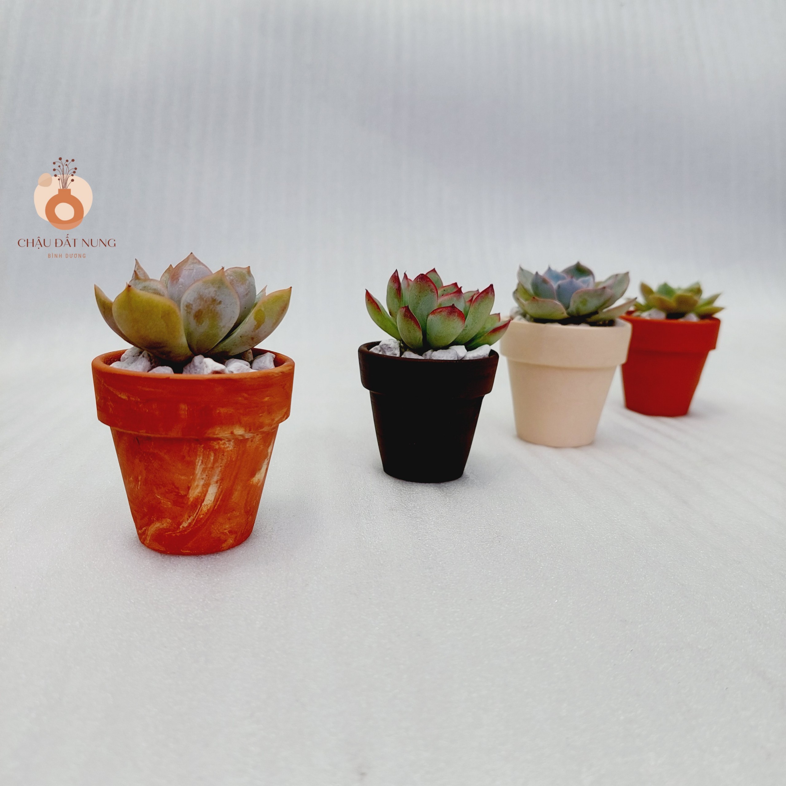 Chậu đất nung Bình Dương - Chậu ly có gờ 55, miệng chậu 5cm, chiều cao 5cm