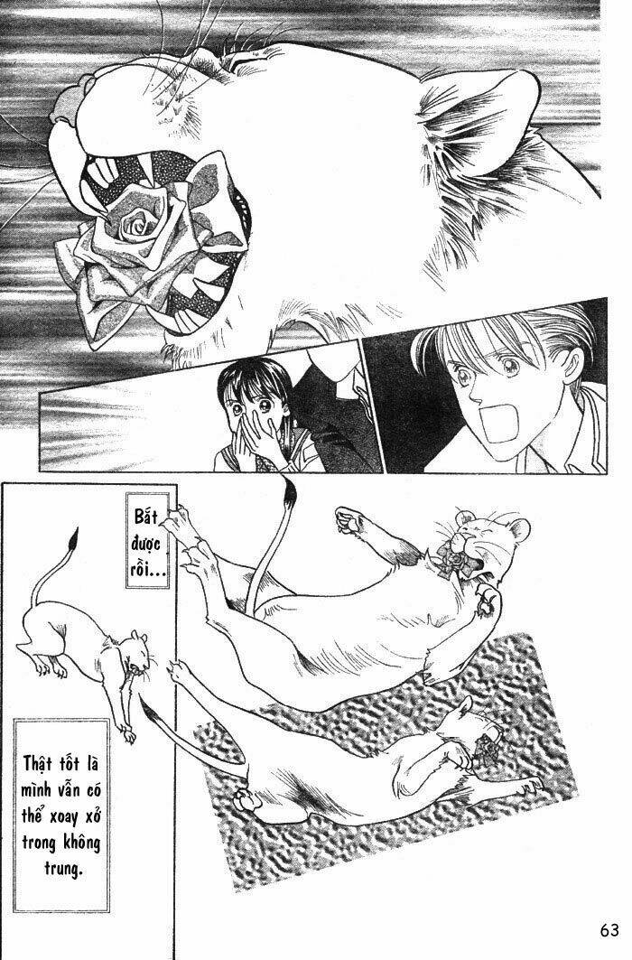 wild cats chapter 1 66