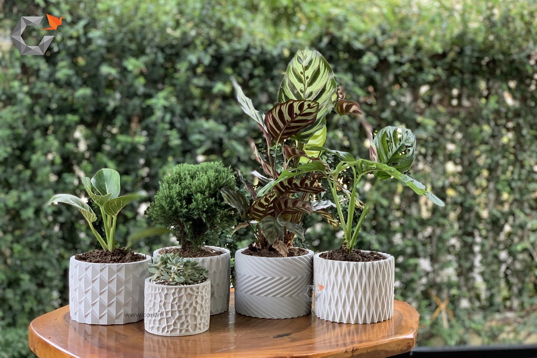 Combo 4 Chậu trồng sen đá , xương rồng, bonsai cây cảnh bằng xi măng, chính hãng Cori , chậu 3D Origami hình trụ tròn kích thước 15x11cm - Cement pots GiaThanh Decor