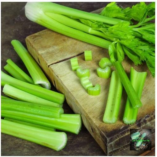 Hạt giống rau cần tây bẹ to, đóng gói 5gr