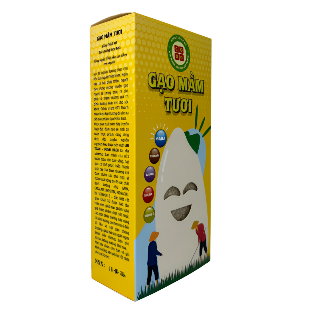 ST25 Gạo Mầm Gaba Cờ Đỏ Cho Bé Ăn Dặm Nấu Cháo Dinh Dưỡng Làm Trà, Cốm, Sữa Hộp 1kg