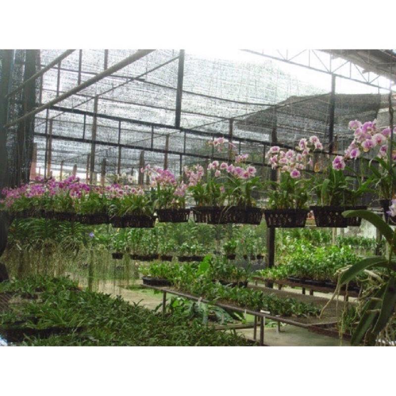 Lưới che nắng Thái Lan khổ 2 mét - hàng chính hãng
