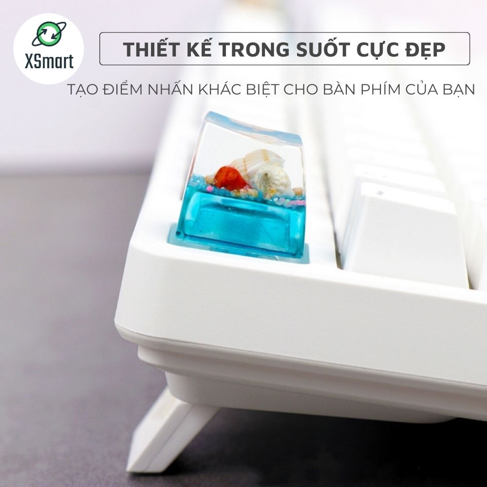 Keycap Nút Bàn Phím Ốc Đại Dương Tự Nhiên Thủ Công Cực Đẹp Nhựa Resin Trong Suốt Xuyên LED-Hàng Chính Hãng