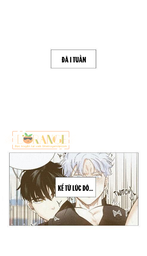 hôm nay lại là một ngày nắng ấm chapter 19 1