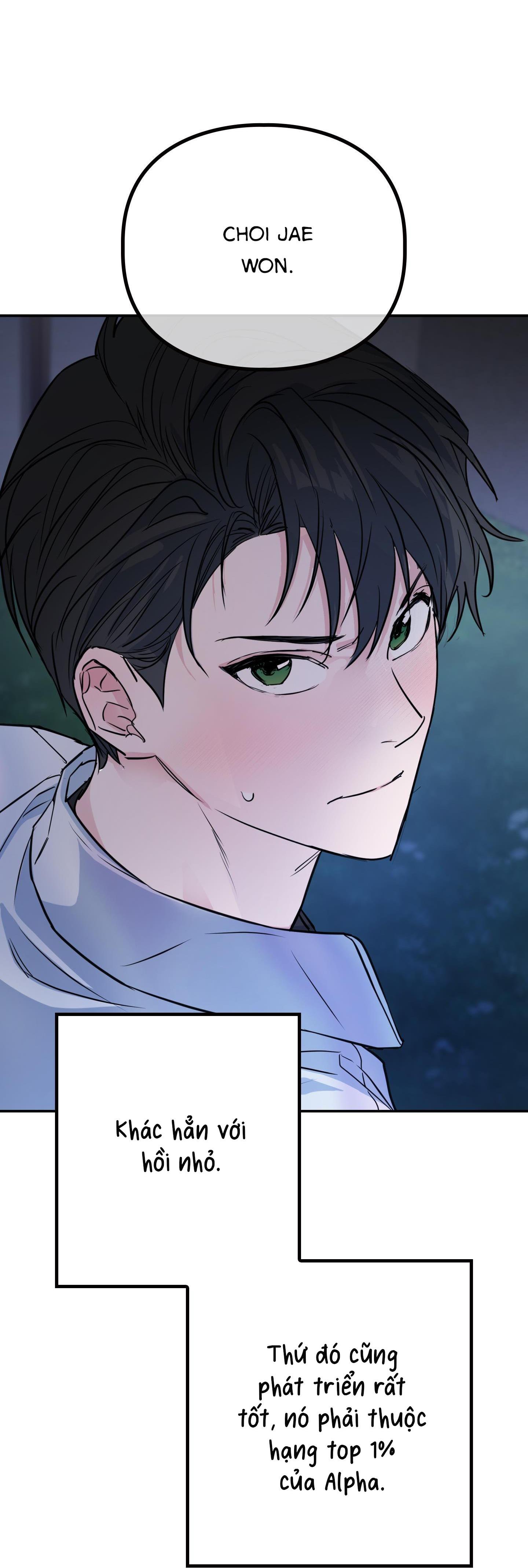 alpha mặt hàng không thể trả chapter 6 74