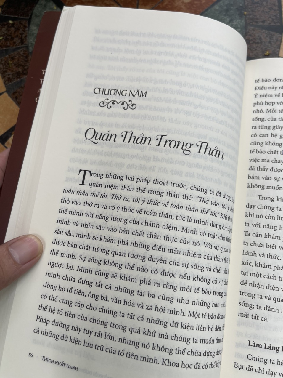 HƠI THỞ NUÔI DƯỠNG, HƠI THỞ TRỊ LIỆU - Thích Nhất Hạnh - Phương Nam Book
