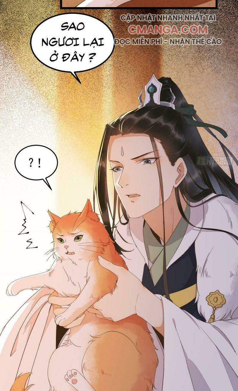 sát thủ vương phi không dễ chọc chapter 44 53