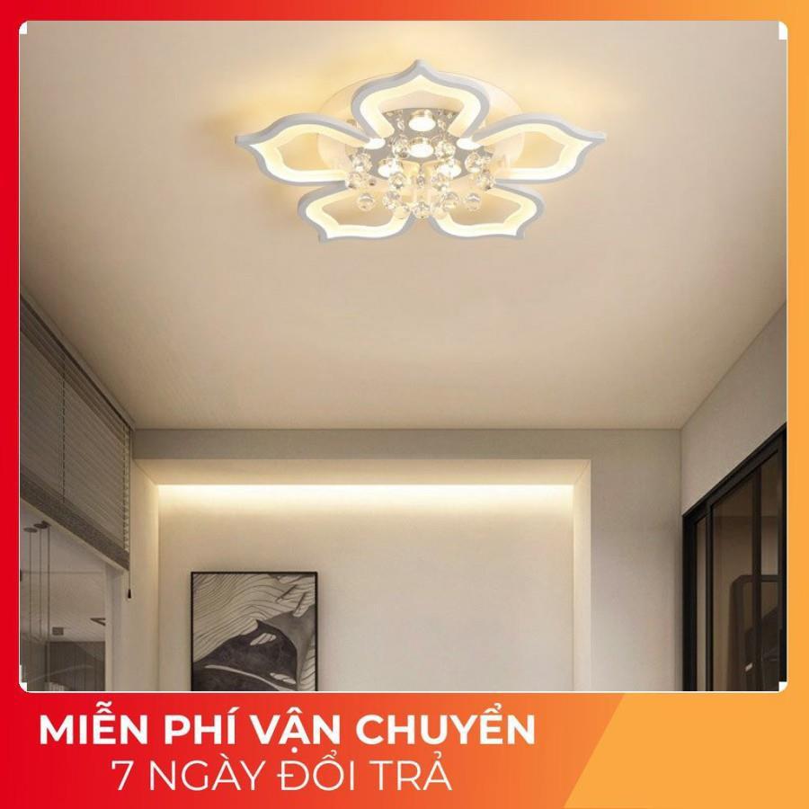 Đèn ốp trần trang trí phòng khách phòng ngủ 5 cánh có 3 chế độ sáng tặng kèm điều khiển tăng chỉnh - Mã 2042/5