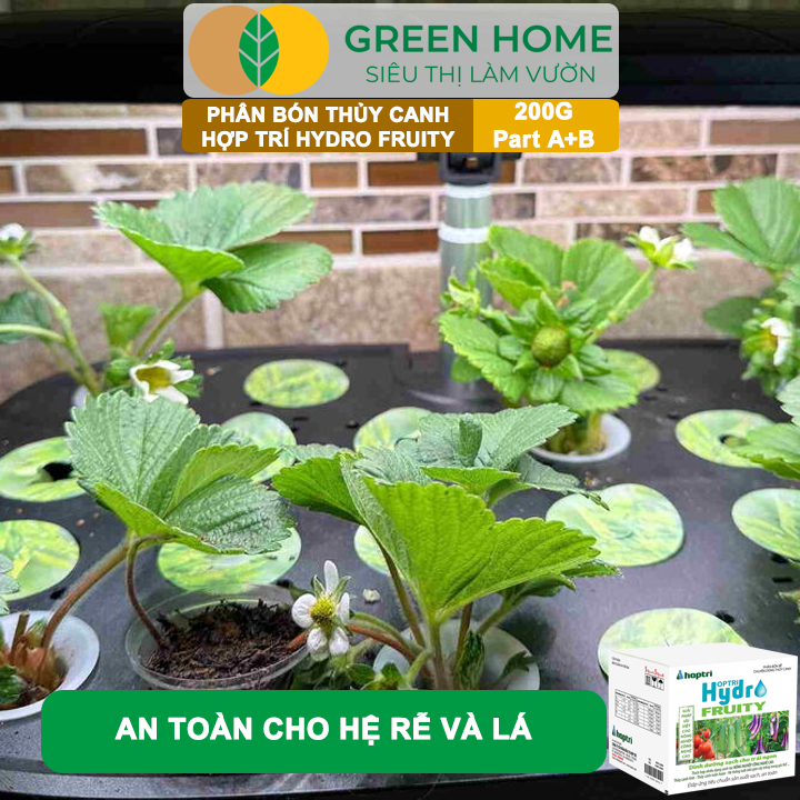 Phân bón Hợp Trí Hydro Fruity GreenHome, Hộp 200g (Part A+B), Chuyên Cho Cây Ăn Trái Trồng Thủy Canh